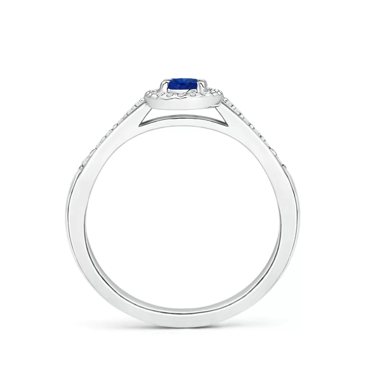 1.5 CT. Oval Blue Sapphire and White Sapphire Halo Micropavé Ring