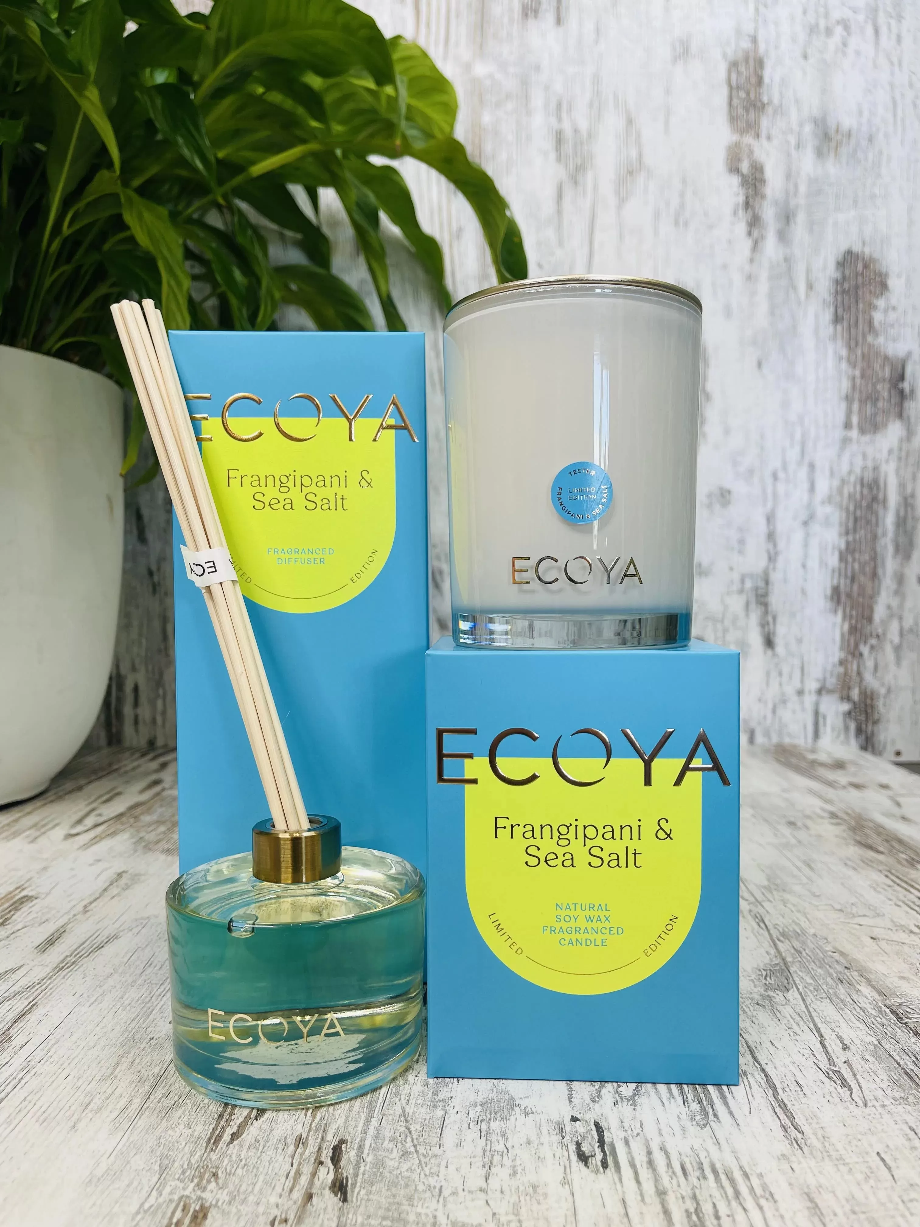 Ecoya Frangipani & Sea Salt 400g Madison Candle