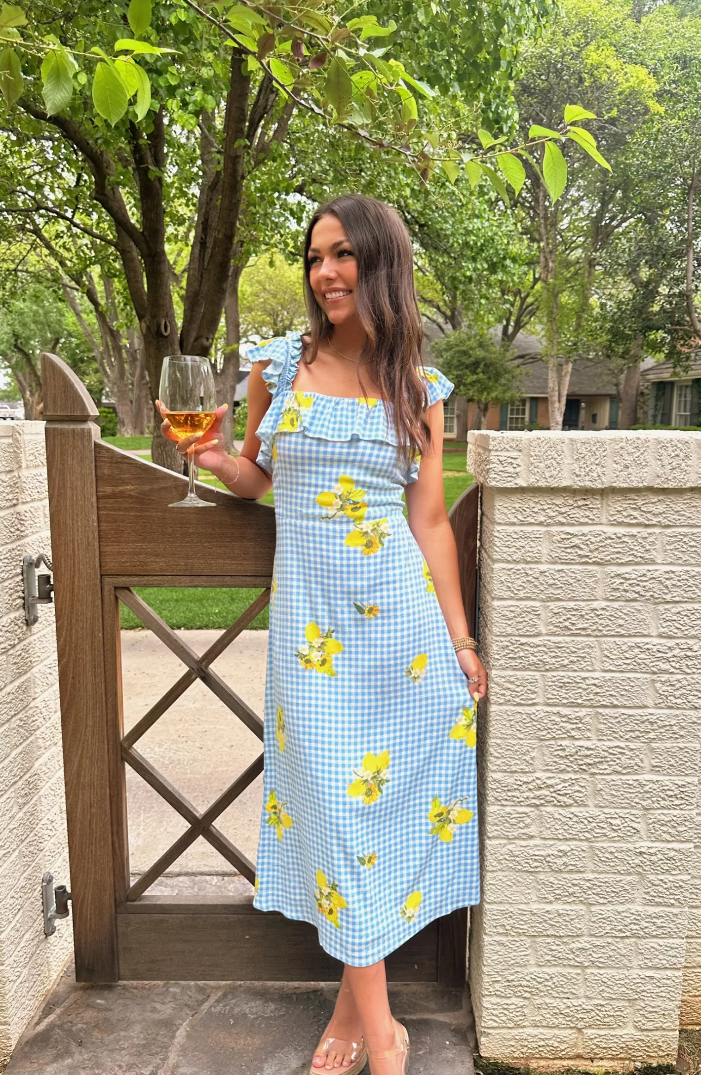 Garden Party Blue Gingham Dress