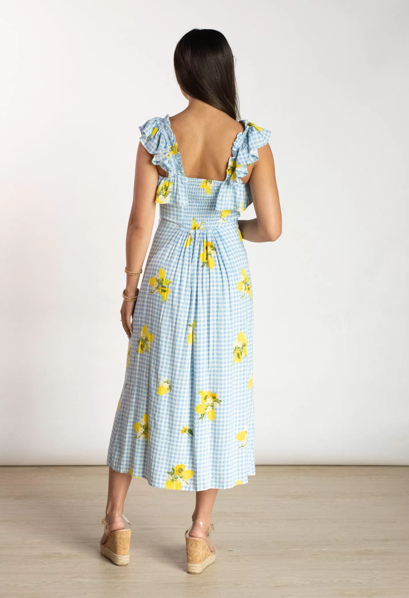 Garden Party Blue Gingham Dress